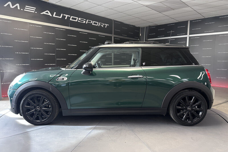 MINI MINI